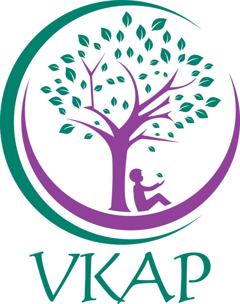 Sponsors Champlain Valley Fair