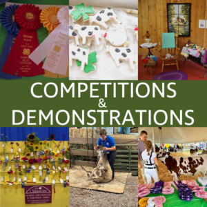 Competitions & Demonstrations