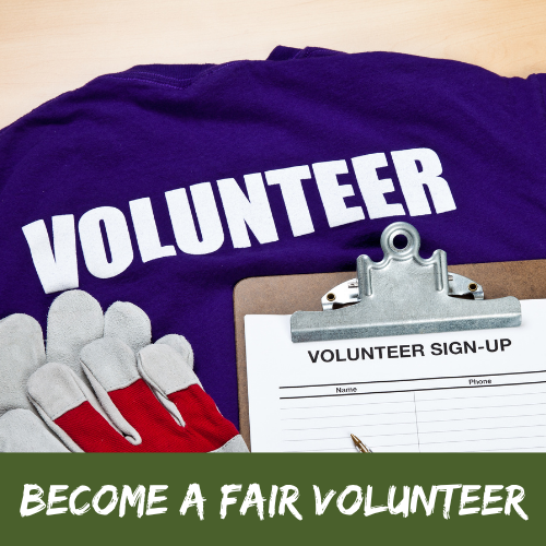 BECOME A FAIR VOLUNTEER