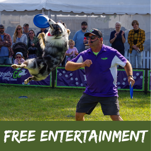 FREE ENTERTAINMENT