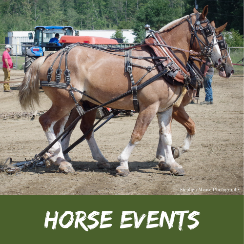 HORSE EVENTS